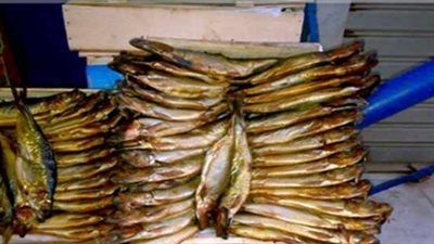 ضبط ربع طن رنجة غير صالحة للاستهلاك بمصنع في الغربية