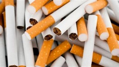 «شعبة الدخان»: زيادة فترة تخزين «التبغ» يساهم في استقرار أسعار السجائر