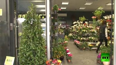 بالفيديو.. شركة فرنسية تتلقى 25 ألف طلب زهور لعيد الحب