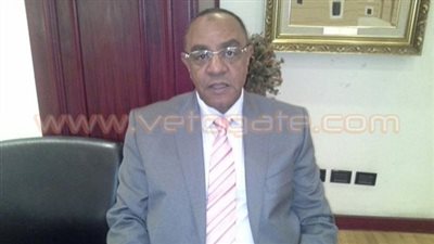 «الجيزة التجارية» تحدد 3 مشروعات لتنفيذها