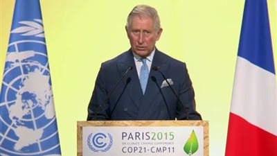 بالفيديو.. تشارلز يحث قادة العالم لمعالجة أسباب ارتفاع درجات الحرارة