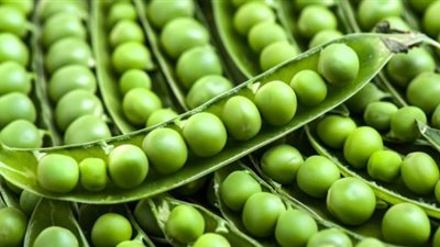 أسعار الخضراوات والفاكهة اليوم 28/ 12/ 2018.. والبسلة بـ9 جنيهات