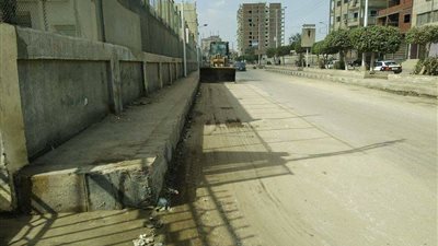 شكاوى من إهمال المحليات للشوارع الفرعية وانتشار القمامة بالدقهلية (صور)