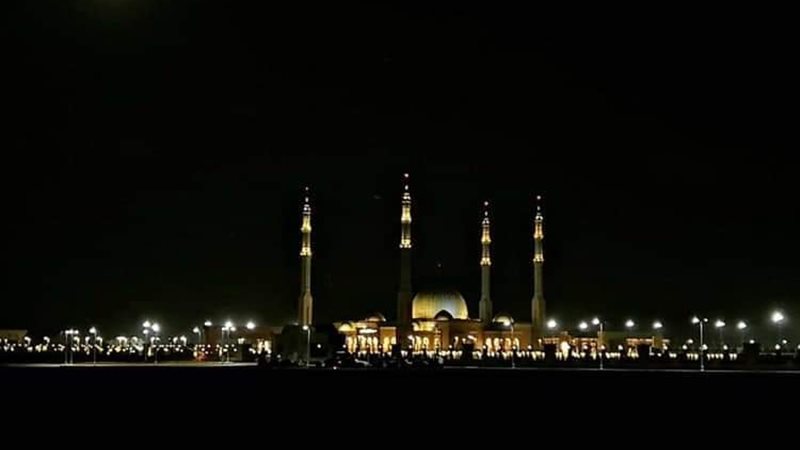 فيتو