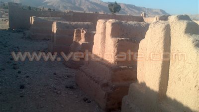 بالصور.. «طلعات القبور» في معتقدات الصعايدة.. استخدام « الكحريتة» في قضاء حوائج الزائرين.. سيدات يتبركن بها لحل مشاكل العقم.. وزيارة الأطفال سر الشفاء العاجل.. والمتعلمون يؤكدون :&