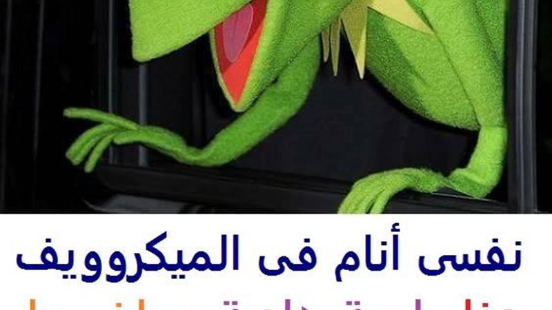 فيتو