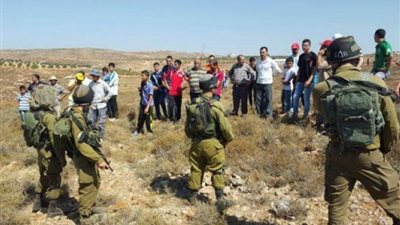 «مقاومة الاستيطان» تعترض على استيلاء الاحتلال على أراضي جنوب بيت لحم