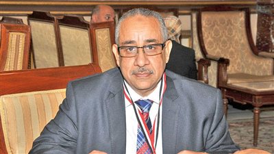 طلعت خليل ينتقد طول مدة تطبيق نظام التأمين الصحي الشامل