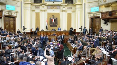 خلاف في البرلمان بسبب عدم التفرقة بين الصحة العقلية والنفسية