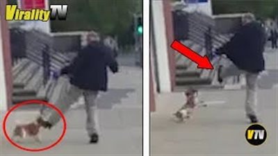 عجوز يركل كلبا في وجهه (فيديو وصور)