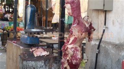 65 جنيها لكيلو اللحوم بمنافذ «زراعة البحر الأحمر»