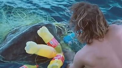 إنقاذ 4 سلاحف من الموت بسبب البلاستيك (فيديو وصور)