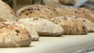 بدء تطبيق منظومة الخبز الجديدة بالغربية