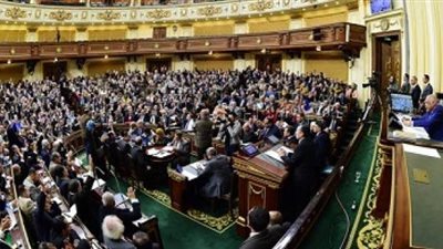 «زراعة البرلمان»: مشروع قانون الزراعات العضوية سيقضي على مشكلات الفلاح