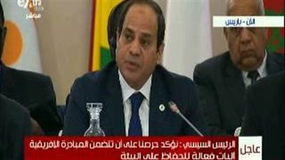 بالفيديو.. «السيسي» يدعو الرئيس الفرنسي لدعم مبادرة الحفاظ على البيئة