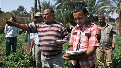 اجتماع خبراء الإرشاد الزراعي.. الخميس المقبل