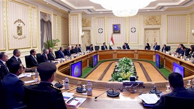 مجلس الوزراء يخطط لتنفيذ مشروع تأمين سواحل القرى السياحية (فيديو)