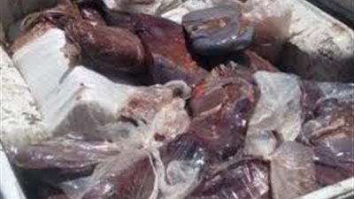 ضبط ٦٠ كيلو كبدة ولحمة وفراخ فاسدة بمطعم في الغردقة