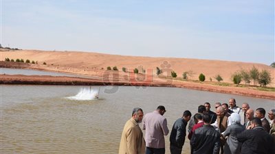 تنفيذ أول مشروع للثروة السمكية على مياه الصرف الزراعي بالوادي الجديد