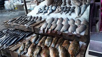 أسعار الأسماك اليوم 31/ 12/ 2018.. والبلطي بـ 21.5 جنيه