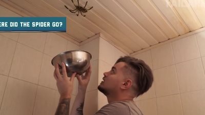 أقوى المواقف المخيفة مع العناكب (فيديو)