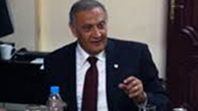 أستاذ جامعي: معظم المال العربي خرج من الاستثمار المصري عقب الثورة