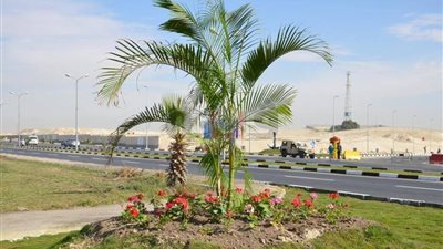 محافظ الإسماعيلية يتفقد أعمال تطوير الطريق الدائري (صور)