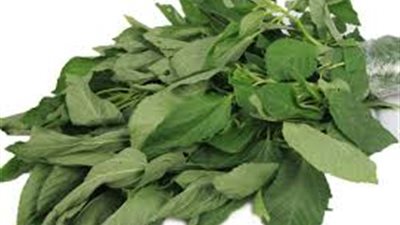 تعرفي على أسهل طريقة لحفظ الملوخية