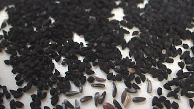 3 وصفات طبيعية لعلاج تساقط الشعر