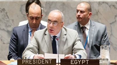 مندوب مصر بمجلس الأمن يطالب الأعضاء بالتصويت لصالح قرار القاهرة