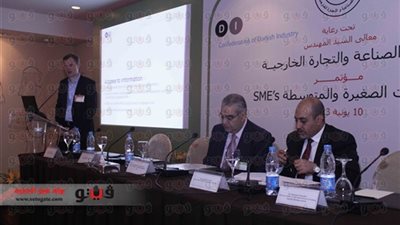 سفيرة الدنمارك بالقاهرة: تنمية الصناعات الصغيرة والمتوسطة تقود الاقتصاد