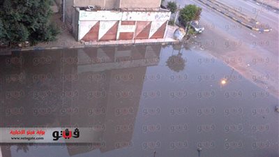 بالصور.. الأمطار تغرق شوارع الإسماعيلية وترفع أسعار الأسماك