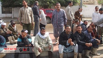 بالصور.. عمال النظافة بالمنوفية يطالبون بتطبيق الحد الأدنى للأجور