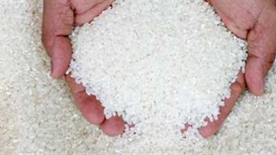 «نقبب بدالي جنوب الصعيد»: أرز التموين مصاب بالحشرات