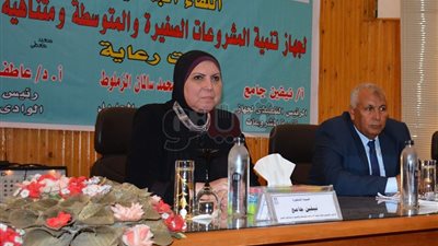 جهاز تنمية المشروعات يخفض مقدم 200 محل تجارى لشباب الوادي الجديد