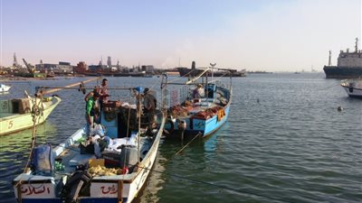 تفاصيل أزمة ارتفاع أسعار الأسماك في السويس (صور)