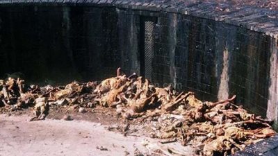 أغرب طرق دفن الموتى في العالم.. إذابة الجثث بالكيماويات مع الحرارة والضغط ببريطانيا.. البوذيون يتركونهم للطيور.. الإستراليون يجمعون العظام ويرتدونها قلائد.. والسويد تحولها لسماد بعد التجميد