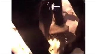 رد فعل صادم لمحتفلين لحظة اشتعال النيران داخل ملهى ليلي (فيديو)