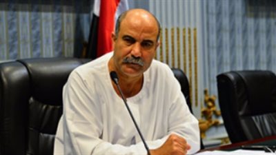 وكيل زراعة البرلمان يهاجم قرار الحكومة بشأن استيراد القمح