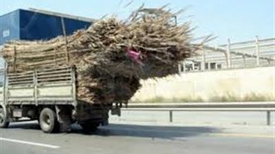 تحرير 2387 قضية ظواهر سلبية بوسائل النقل و 1054 مخالفة تموينية خلال حملات