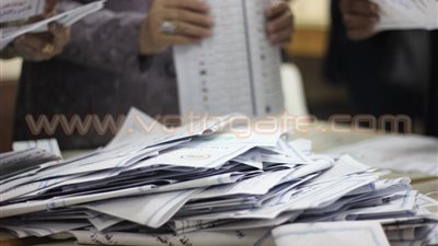 «محمد الطوخي» يحصل على 268 صوتًا بمنيا القمح في الشرقية