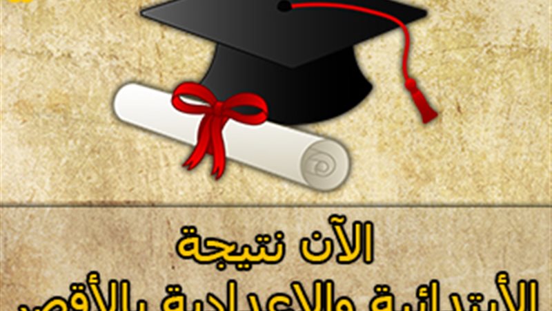 الدكتور عزت سعد محافظ
