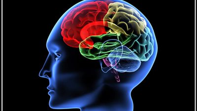 الخطايا الـ6 المسببة لتلف المخ وتدمير الدماغ