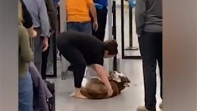 كلب يتسبب في فوضى داخل مطار دولي (فيديو)