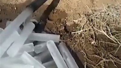 مفاجأة غير متوقعة لمزارع حاول ري أرضه (فيديو)