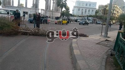 حوادث موجة الطقس السيئ.. سقوط نخلة بالإسكندرية يتسبب في إعاقة الحركة المرورية.. إغلاق ميناء الدخيلة.. توقف حركة الملاحة في البرلس.. وتأخر إقلاع 7 رحلات جوية «الأبرز»