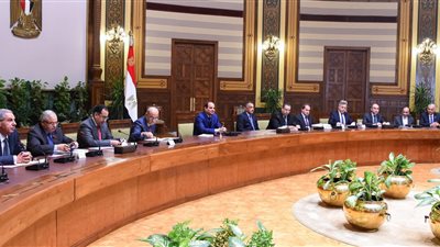 السيسي: الدولة حريصة على توفير مناخ صحي للعمل والاستثمار