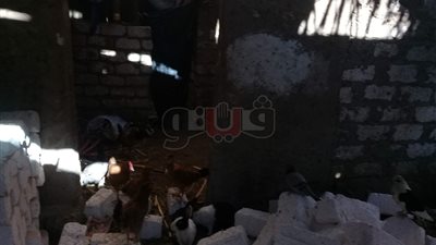 أولاد حمزة بسوهاج تدخل ضمن مبادرة حياة كريمة (فيديو وصور)