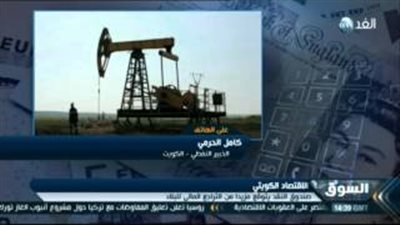 بالفيديو.. خبير نفطي: اقتراح خفض إنتاج «أوبك» لنْ يُحقق التوازن