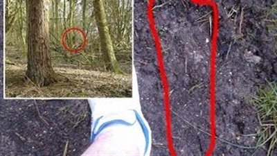 بالفيديو والصور.. ظهور وحش غامض في غابات بريطانيا